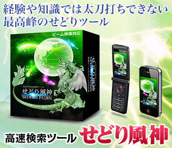 せどり風神1.jpg